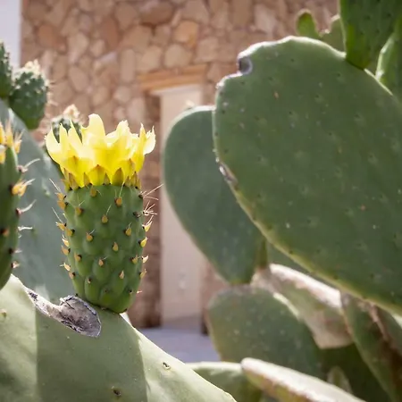 Villa Afrodite | Luxury And Pool *