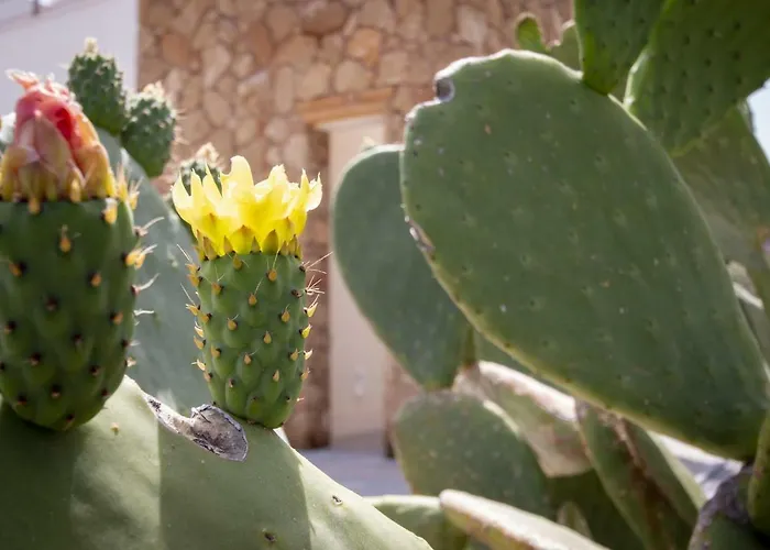 빌라 Afrodite | Luxury And Pool *